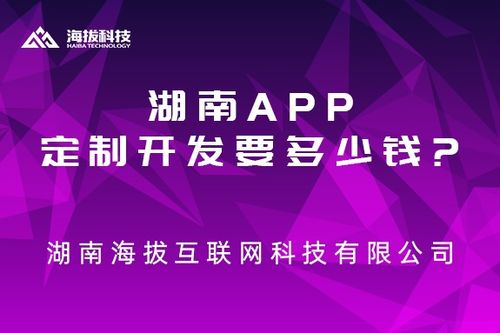 湖南app定制开发要多少钱